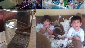 천사의 탈을 쓴 악마 “그래도 미워할 수 없는 존재죠”