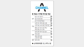 [광주/전남][전북][제주]채널A 지역별 케이블 채널