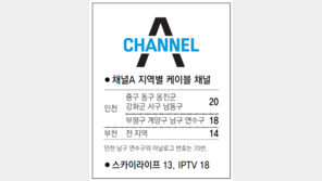 [인천/경기]채널A 지역별 케이블 채널