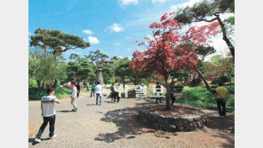 [대전/충남/주말, 떠나요!]홍성 ‘그림이 있는 정원’ 장애아들 위한 父情 배인 서해 명소