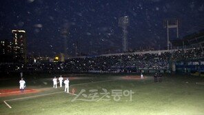 [이슈&포커스] 대구구장 ‘뜬구름 삽질’