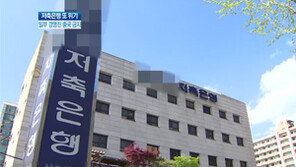 [뉴스A]단독/대형 저축은행 ‘휘청’…일부 경영진 출국금지