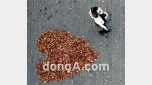 미혼녀에게 가장 기억에 남는 사랑은?