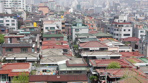 “요즘은 아파트보다 단독주택이 대세”…왜?