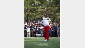 17세 백규정, 내년 슈퍼루키 돌풍 예고