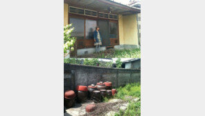 “이런 집에서 살았어?” 이효리 살던집 공개