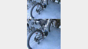 자연이 선물해준 자물쇠, “도난 걱정은 전혀 없겠네!”