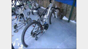 자연이 선물해준 자물쇠 “날씨 풀리기만 기다릴 뿐…”