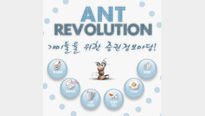 증권정보 사이트 오픈… 개미투자자 모여라