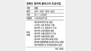 [대구/경북]‘동해안 원자력 클러스터’ 정부지원 청신호