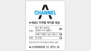 [인천/경기]채널A 지역별 케이블 채널