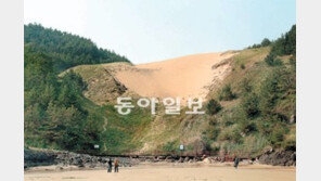 ‘동양 최대 모래언덕’ 사라질 위기