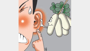 [헬스&뷰티/이상곤 박사의 맛있는 동의보감 이야기]<3> 바나나를 닮은 열매 ‘어름’의 효능