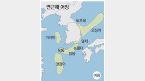 [부산/경남]제주서 대구 잡혀… 어류 지도 바뀐다