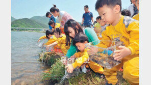 [대구/경북]“아기 붕어야 잘 살아라”