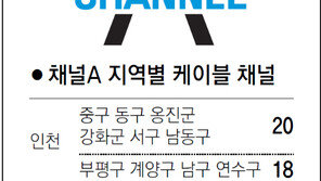 [인천/경기]채널A 지역별 케이블 채널