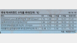 [Money&Life]럭셔리·컨슈머 펀드 눈부신 수익률… “투자도 명품이 대세”