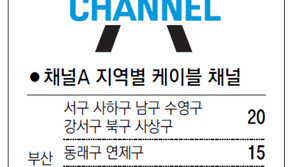 [부산/경남]채널A 지역별 케이블 채널
