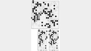 [바둑]제56기 국수전… 146 코붙임의 맥점