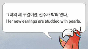  [신문과 놀자!/동아일보 기사로 배우는 영어 한마디]5월 10일