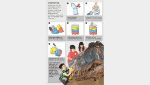  [신문과 놀자!]공룡을 어디 가야 만날 수 있죠?