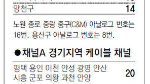 [수도권]채널A 서울지역 케이블 채널