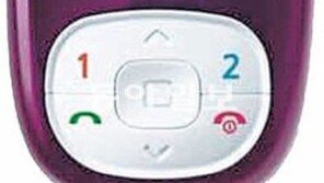 [인천/경기]‘위치확인장치’로 보복범죄 막는다