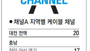 [강원][대전/충남][충북]채널A 지역별 케이블 채널