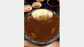 카레 기본 시켰더니 “건더기는 없고 국물만 넘칠 정도”