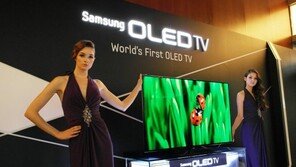 삼성, 55인치 OLED TV 양산모델 공개