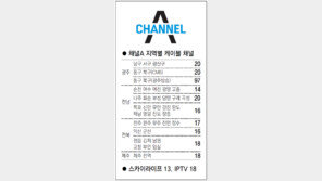 [광주/전남][전북][제주]채널A 지역별 케이블 채널