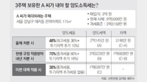 3주택자 2000년에 산 은마아파트 115m², 양도세 3억3225만 원 →1억6397만 원