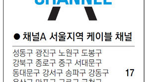 [수도권]채널A 서울지역 케이블 채널