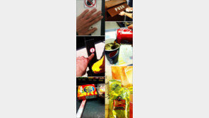 지상 최악의 반항아 “하는 짓마다 청개구리 행동”