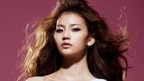 안다미로, 해외 브랜드 트릴로지 모델