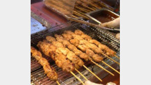 내가 먹은 양꼬치, 알고보니 ‘쥐꼬치’?