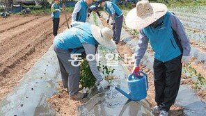 [이제는 공존이다/공기업]100% 임직원 성금으로 봉사… 농사 돕고 산재근로자 자녀 지원