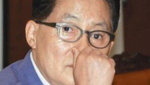 민주당도 모바일 경선 부정의혹 후폭풍