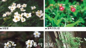 문순화 식물사진가회 명예회장, 평생 찍어온 식물사진 8만여점 국가에 기증