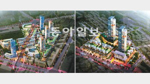 [수도권]“붕어빵식 재건축 그만”… 유형별 디자인 만든다