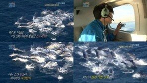 ‘1박2일’ 돌고래 떼 등장 “경관이네” 극찬