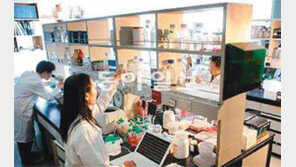 [신나는 공부/글로벌 과학인재 양성 프로젝트 집중조명]<3>‘리서치 펠로우’ 제도