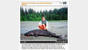 미국 호수 괴물 발견, “상어라고? 진짜 괴물의 정체는?”