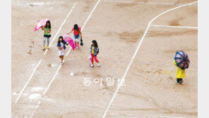 [부산/경남]봄비와 동심