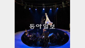 [공연 리뷰]시청각의 미묘한 충돌… 음악극 ‘병사 이야기’