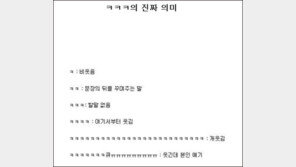 ㅋㅋㅋ 진짜 뜻은… “이거 정한 사람은 최효종?”