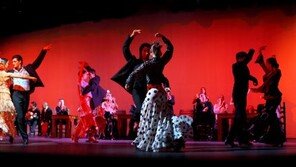 “이해하지 말고 느껴라” 카르멘모타의 플라멩코