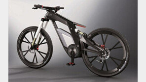 최고 80km··· 아우디가 만든 전기자전거!