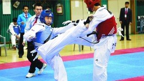 [생활체육 7330] 건강 100세…하나된 생활체육인