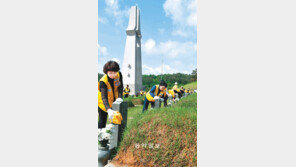 [광주/전남]5·18 앞두고… 국립묘지 청소하는 적십자봉사원들